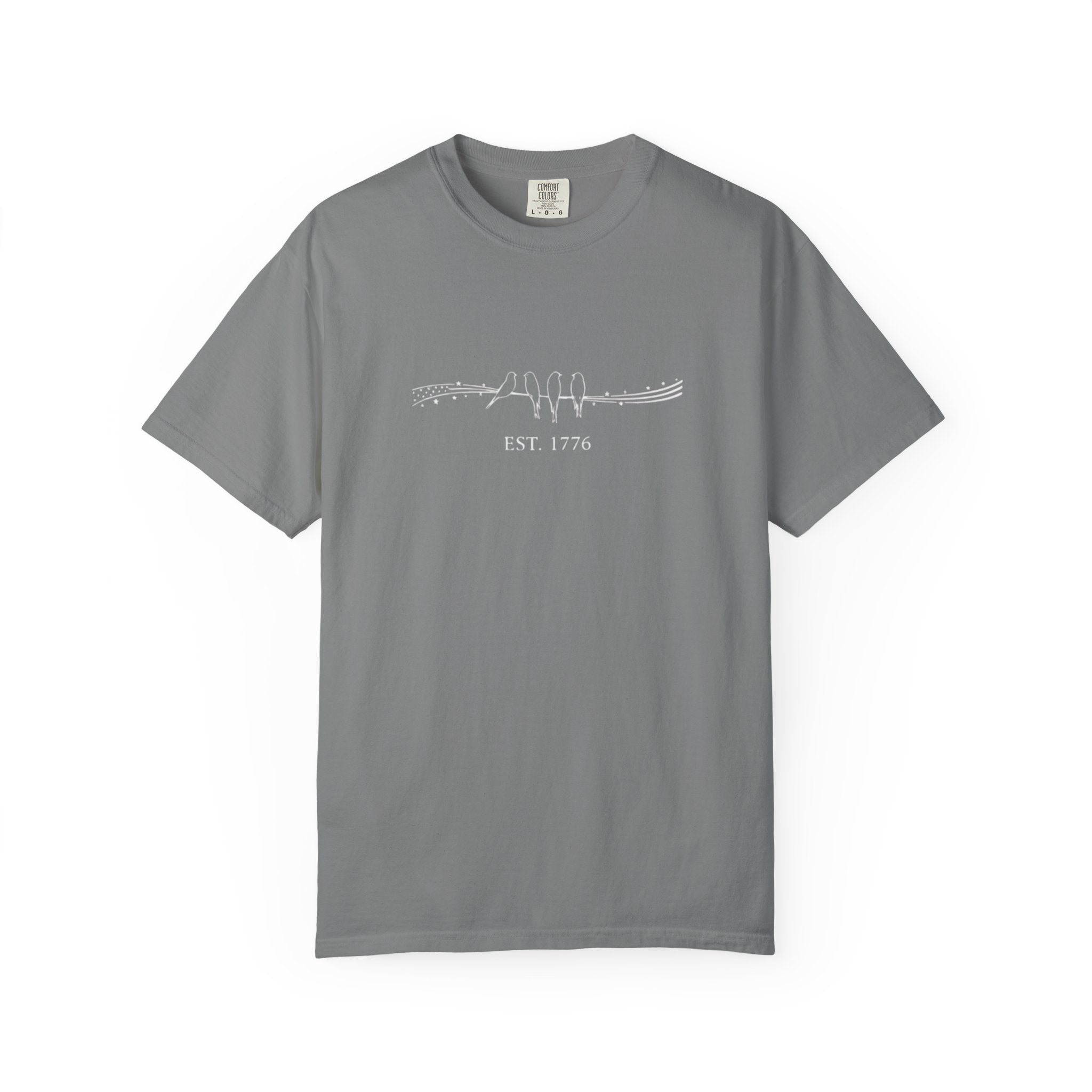 Birds on a Wire EST 1776 t-shirt in Grey